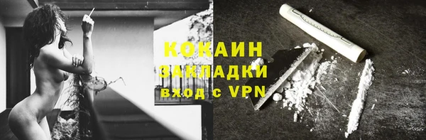 гидра Козловка